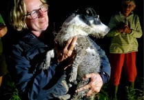 Dog owner thanks firefighters for rescuing Spike from sewer