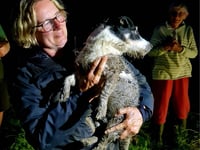 Dog owner thanks firefighters for rescuing Spike from sewer