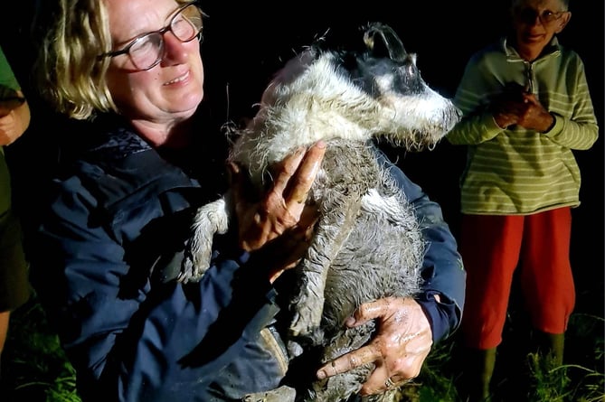 The moment Spike the Jack Russell dog was reunited with his owner, in rather a smelly state after his ordeal down a sewer.
Picture: Buckfastleigh Fire Station (8-6-23)