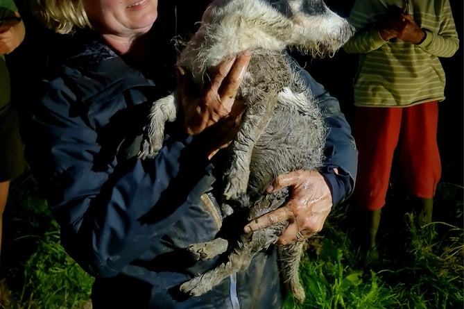 The moment Spike the Jack Russell dog was reunited with his owner, in rather a smelly state after his ordeal down a sewer.Picture: Buckfastleigh Fire Station (8-6-23)