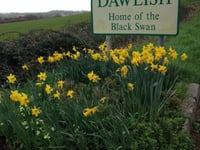 Last chance to enter Dawlish In Bloom 