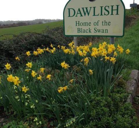 Last chance to enter Dawlish in Bloom 