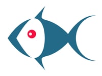Fish company wins share of international funding 