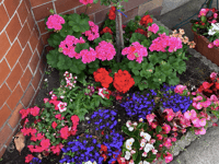 Green fingers at the ready for garden show 