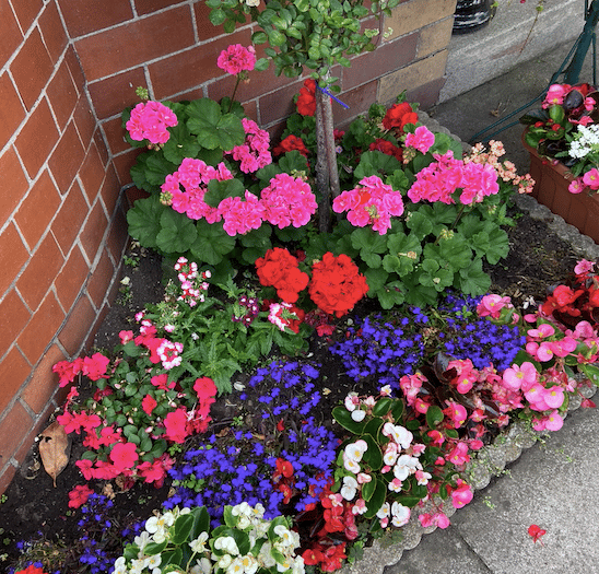 Green fingers at the ready for garden show 