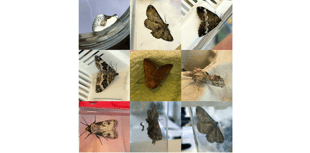 Science is fun on Dunsford pupils' night adventure