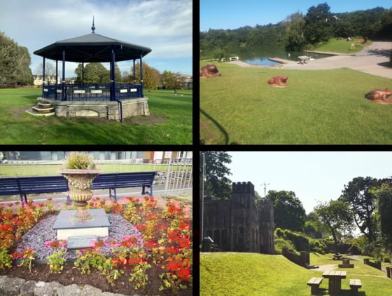 Images above (clockwise) Courtenay Park, Decoy Park, Homeyards, The Den.
Picrture: TDC (July 2023)