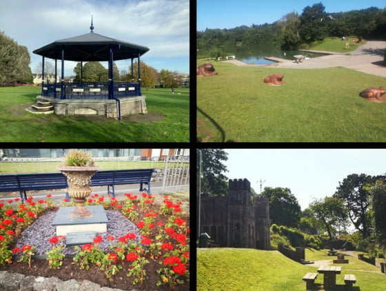 Images above (clockwise) Courtenay Park, Decoy Park, Homeyards, The Den.Picrture: TDC (July 2023)