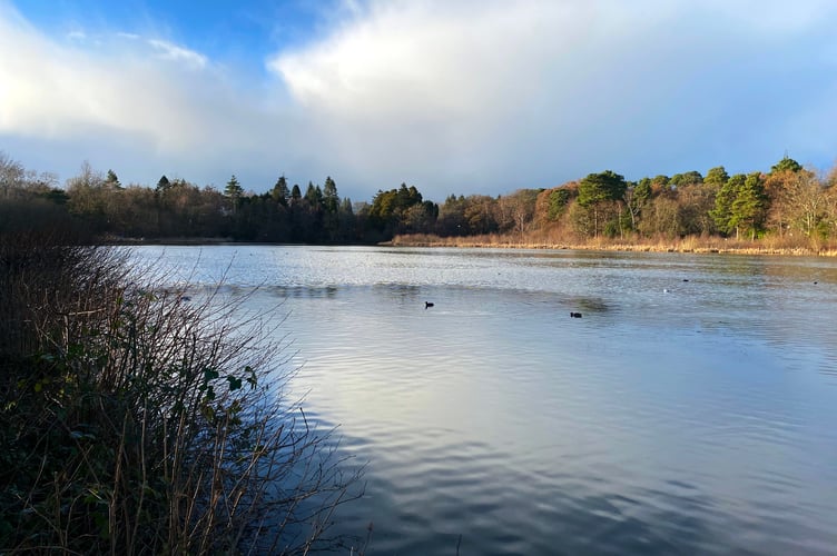 Stover Park, Newton Abbot. Picture: Nick Knight
2023
