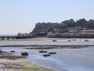 Call to protect Teign Estuary