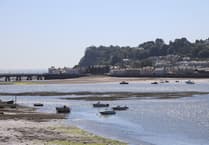 Call to protect Teign Estuary