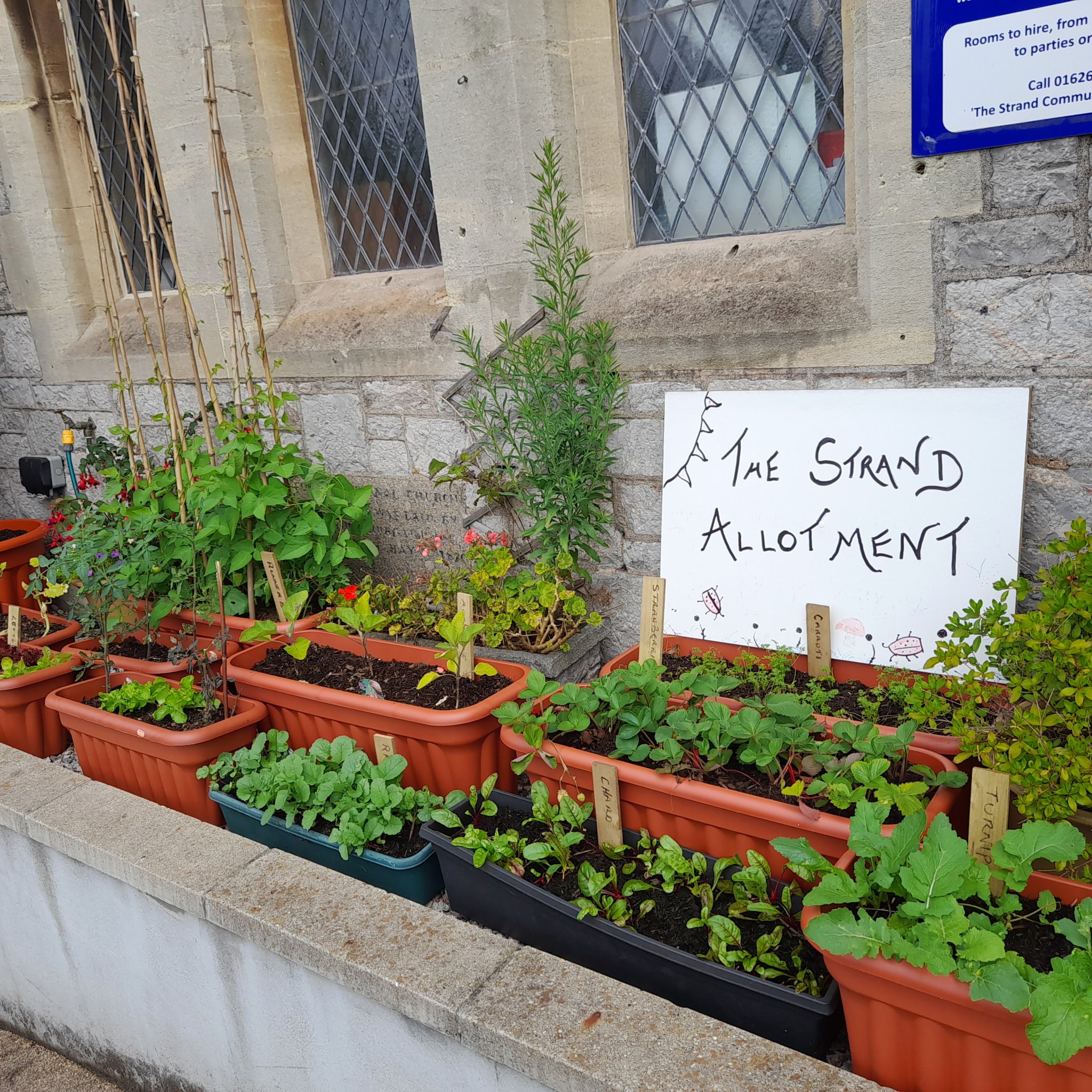 No fresher street food to be found elsewhere