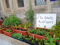 No fresher street food to be found elsewhere
