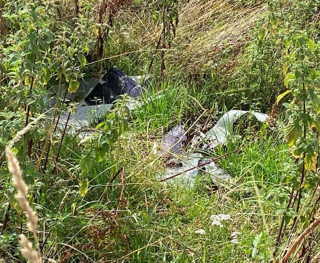 Vandals attack new park