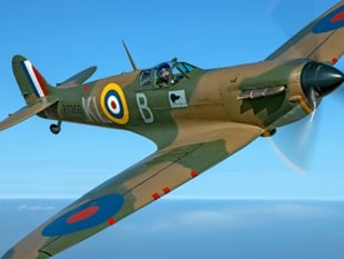 RAF Spitfire to grace skies for carnival