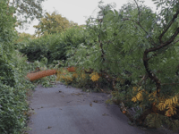 Devon Highways teams thanked for swift clear-up after storm