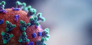 Data shows a rise in coronavirus cases in the South West
