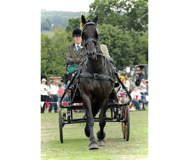 It's action stations ahead of Christow Show