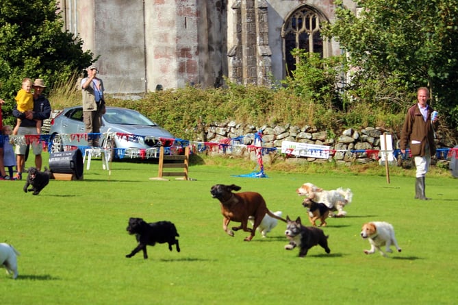 Everything you could expect from a traditional country show âÂ including a bonkers terrier race â will be on offer at Manaton Annual Show and Fair this summer on Saturday, August 12, from 1.30pm until 5pm. 
Picture: Manaton Show and Fair (Aug 2023)
