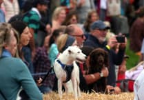 Police to bring rural crime expertise to Chagford Show