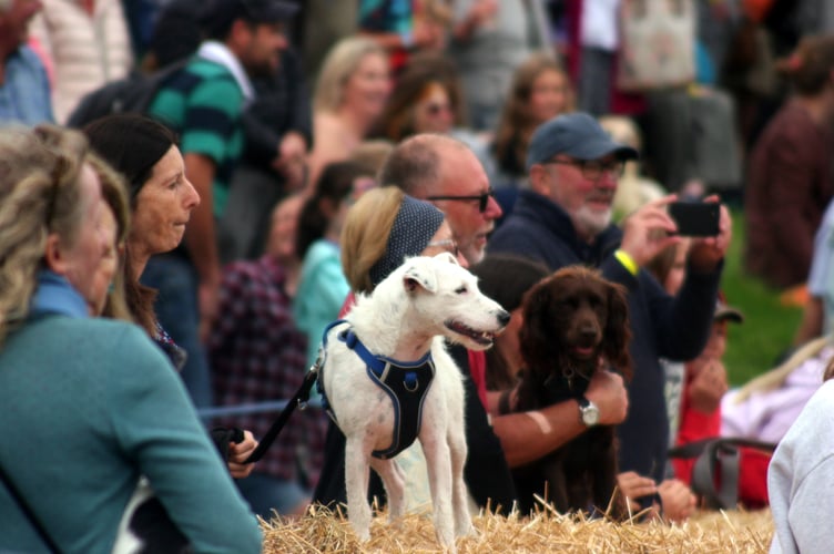 Chagford Show 2023
