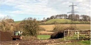 Order to protect trees on Newton Abbot development site
