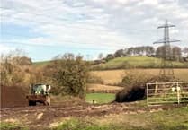 Order to protect trees on Newton Abbot housing development site