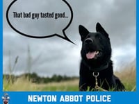 Hearts and likes for Police Dog Bill on International Dog Day