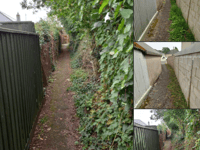 Town council continues its work clearing pathways 