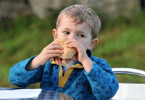 Picture Special: Widecombe Fair - All along, down along lea
