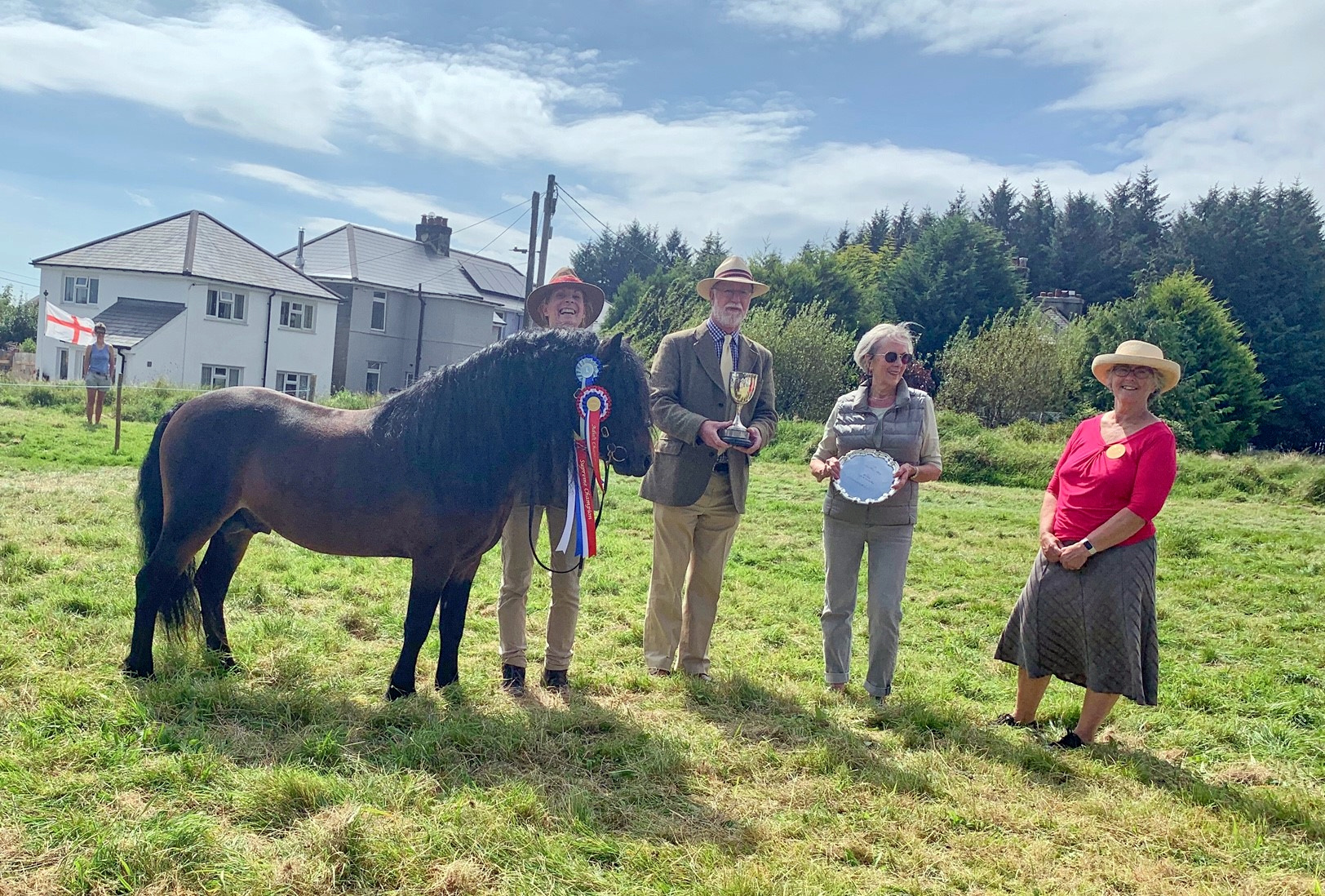 Widecombe bred stallion wins silver at Moorland Show
