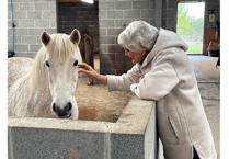 Mare and Foal backs patron Angela for Strictly glory