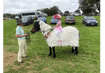 Readers Pictures: Is it a bird? A plane, a horse or a sheep?