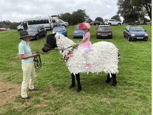 Readers Pictures: Is it a bird? A plane, a horse or a sheep?