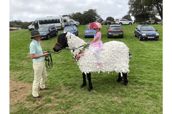 LITTLE Bo Peep hadn’t lost her sheep at Widecombe Fair this year, or perhaps she had? Helen Linfield sent in this great picture of Annabelle on her converted Dartmoor pony.
