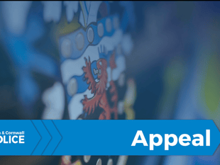 Police appeal for witnesses after M5 crash 