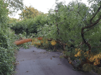 County council issue advice to take extra care during Storm Agnes