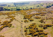 Dartmoor plot on sale for £1.3 million