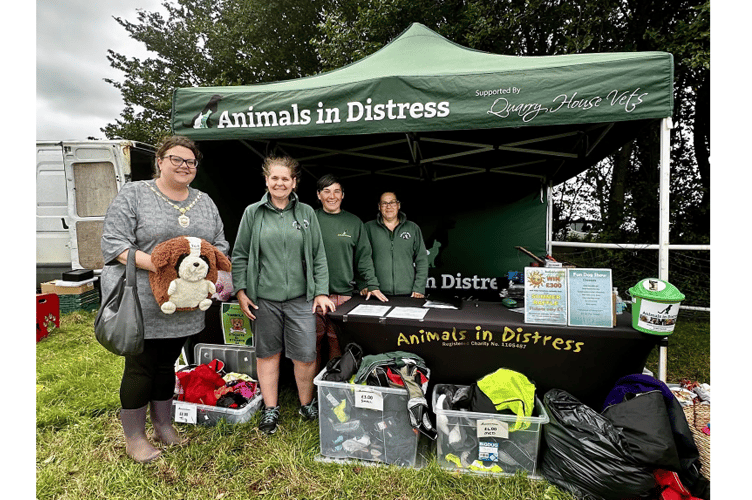 Picture Special: Celebrating our four-legged friends at Dawlish show