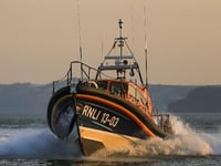 Swimmer rescued off Dawlish 