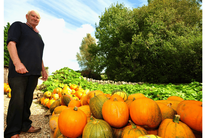 North Whilborough’s own pumpkin-meister - Roger Cloake and a selection of squashes.