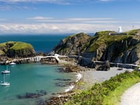 ‘Shear’ success for Lundy’s seabirds thanks to conservation efforts