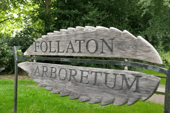 Work has been completed at the Follaton Arboretum, including the planting of 40 large trees