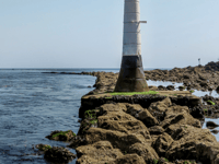 Join beach clean up ahead of bonfire night festivities in Shaldon