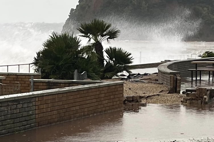 Beach clean appeal Teignmouth 