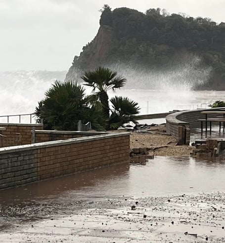 Beach clean appeal Teignmouth