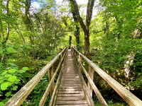 Becky Falls in line for conservation award