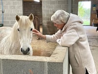 Watch: Mare and Foal Sanctuary champions their patron Angela Rippon