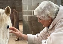 Watch: Mare and Foal Sanctuary champions their patron Angela Rippon