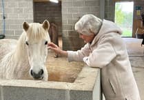 Watch: Mare and Foal Sanctuary champions their patron Angela Rippon